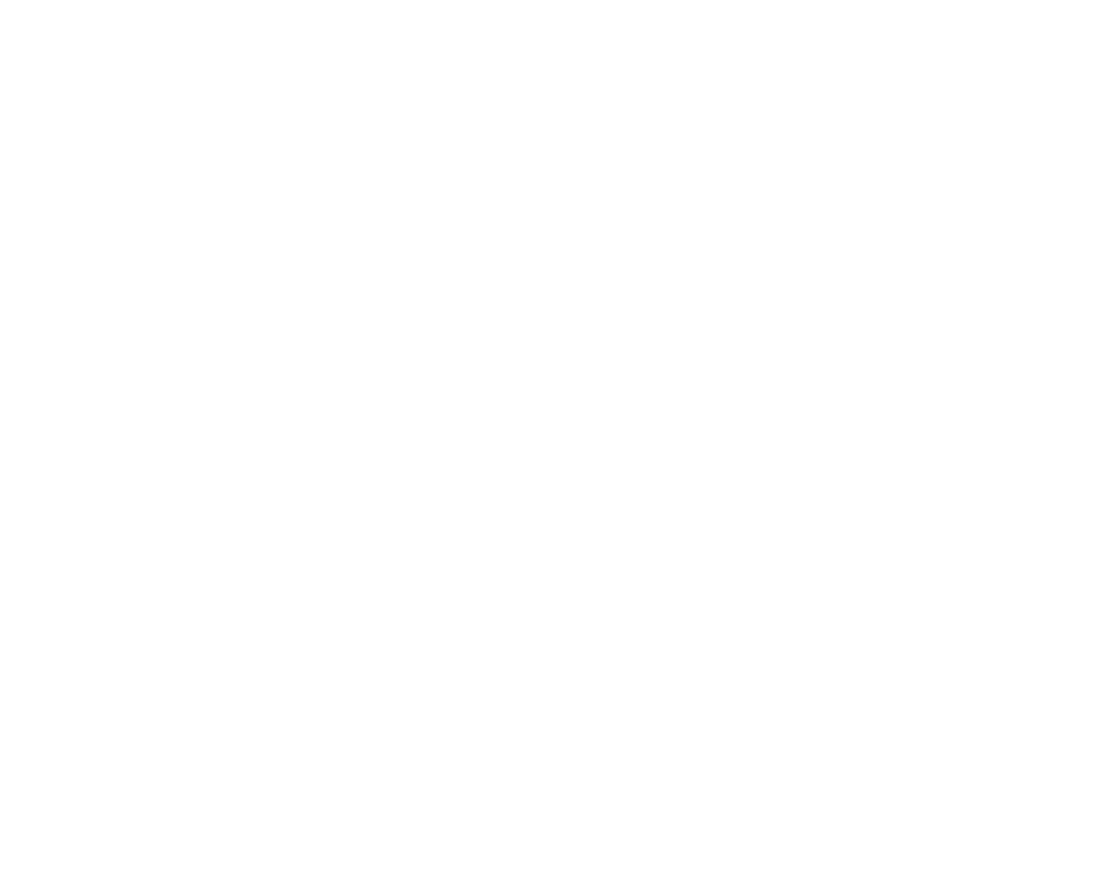 Монетариус